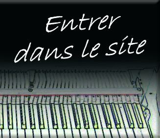 Entrer dans le site